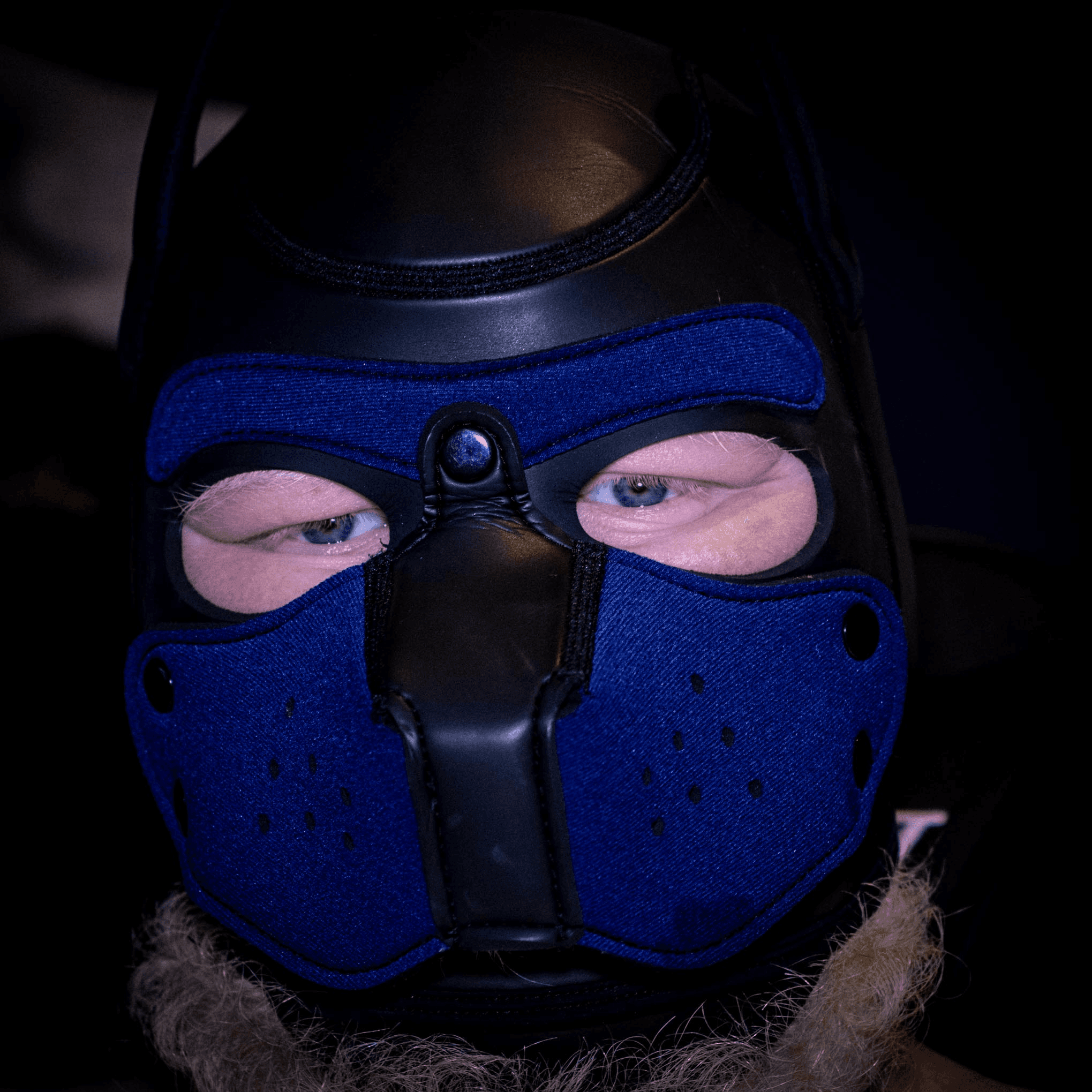 IAmDoomX