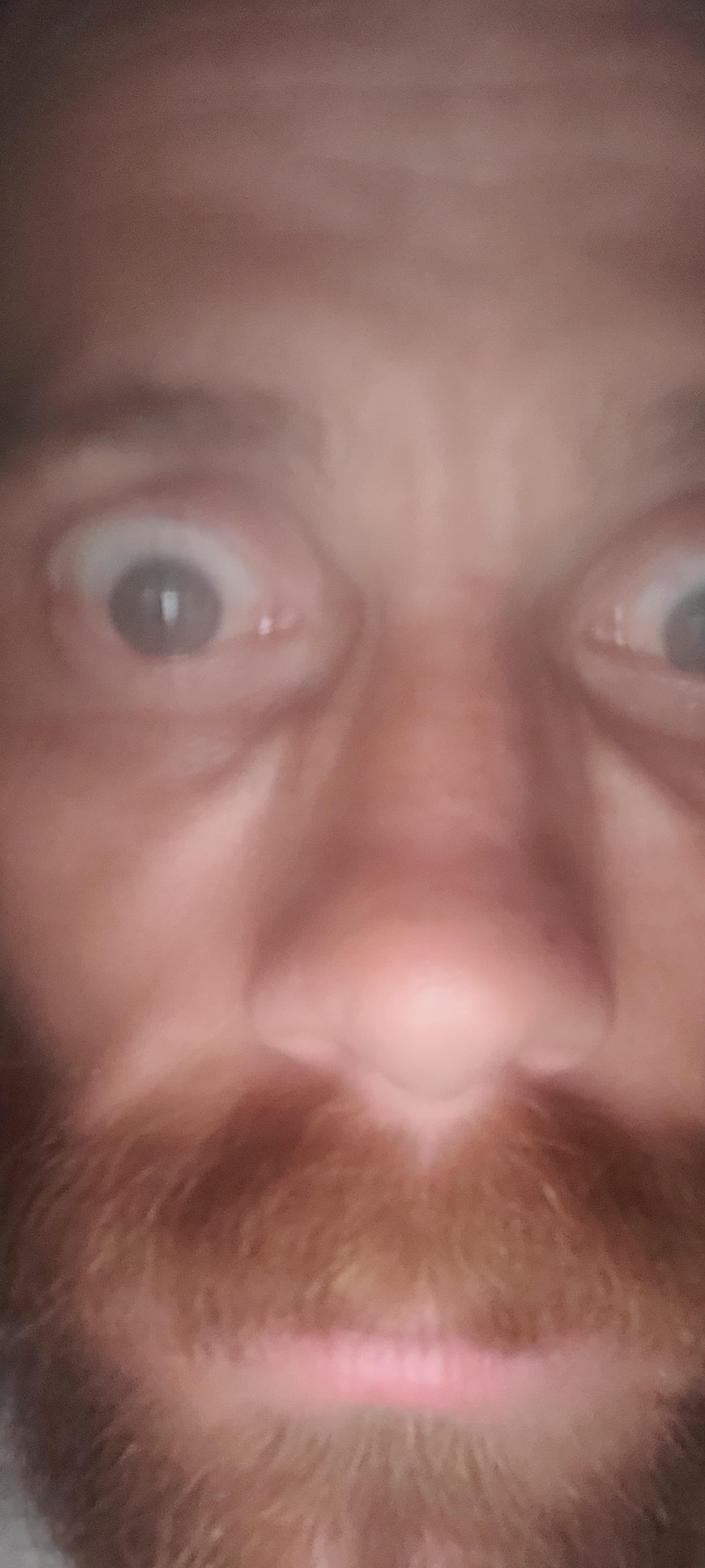 headlesschicken427
