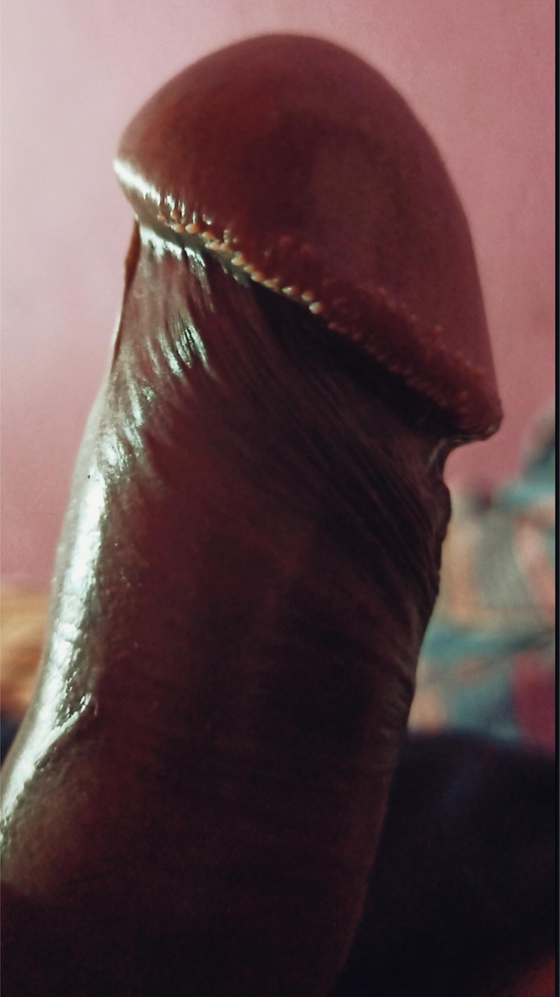krakesh62338