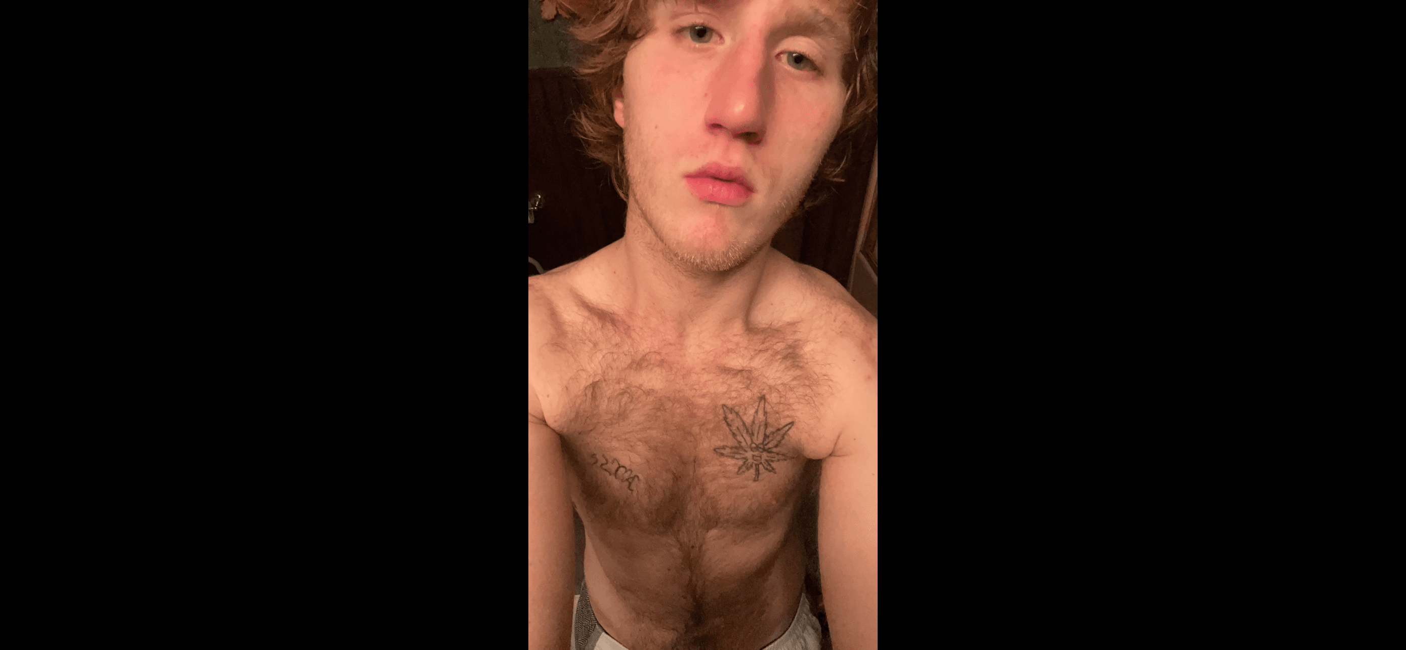 Shaggmyster
