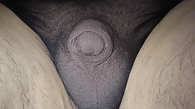 p61834421